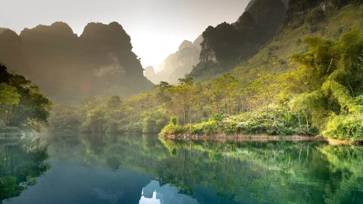 精密智能化高效